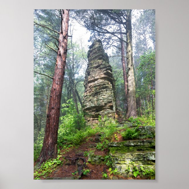 Castellated Mound in State Forest Poster (Framsidan)