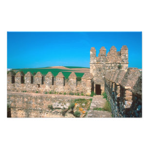Castillo de Las Aguzaderas är ett slott med en Fototryck