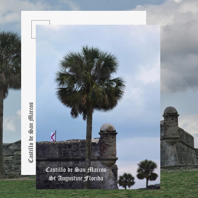 Castillo de San Marcos St Augustine FL Foto Vykort (Skapare uppladdad)