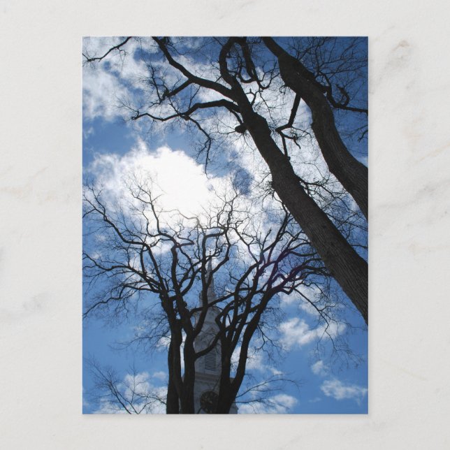 Castine-vykort - 2 vykort (Framsida)