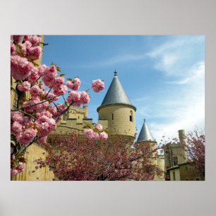Castle and Flowers Poster
