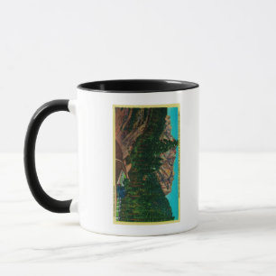 Castle Crags State Park från USA 99 Mugg