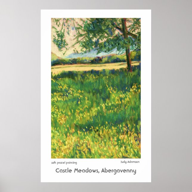 Castle Meadows, Abergavenny Print eller Poster (Framsidan)