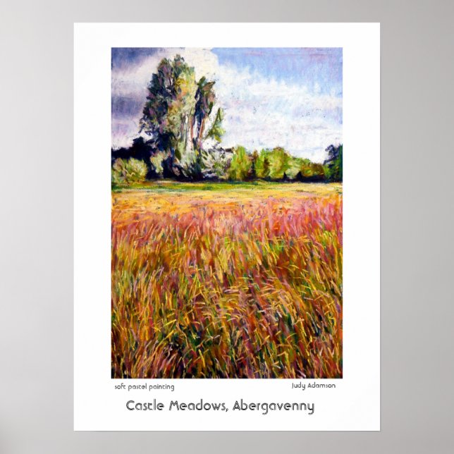 Castle Meadows, Abergavenny Print eller Poster (Framsidan)