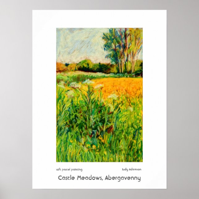 Castle Meadows, Abergavenny Print eller Poster (Framsidan)