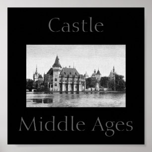 Castle Mitten Ages Poster