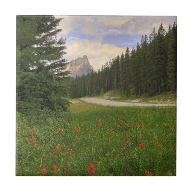 Castle Mountain Banff Kakelplatta (Framsidan)