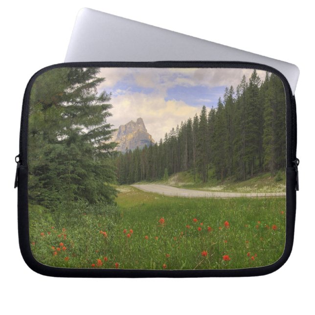 Castle Mountain Banff Laptop Fodral (Framsidan)