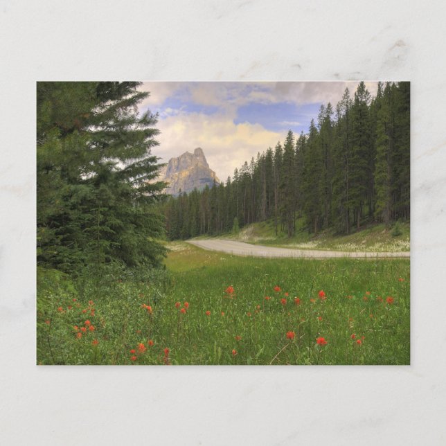 Castle Mountain Vykort (Framsida)