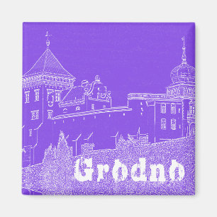 Castle of Belarus Grodno Cityscape City Architectu Magnet