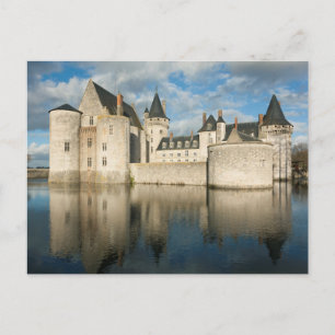 Castle of Sully sur Loire Vykort