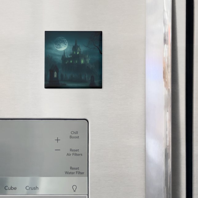 Castle of the Necromancer Experiment Magnet (In Situ (Fridge))