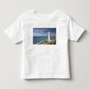 Castle Point Lighthouse, Castlepoint, Wairarapa, Tee