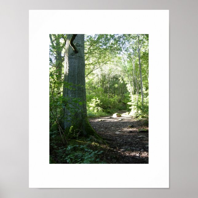 Castlehead Wood: Keswick Poster (Framsidan)