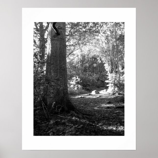 Castlehead Wood: Keswick Poster (Framsidan)