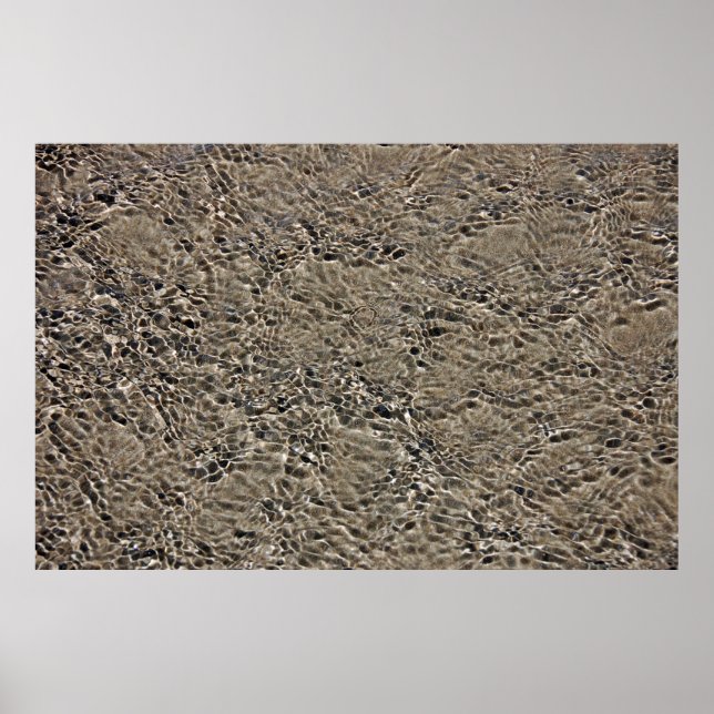 Castlepoint Poster (Framsidan)