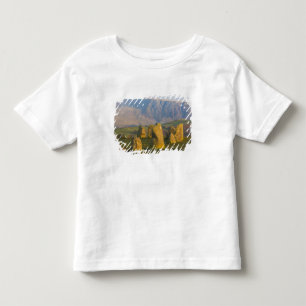 Castlerigg Stone Circle, Lake District, Cumbria, Tee Shirt