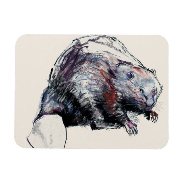 Castor Fiber 2001 Magnet (Horisontell)