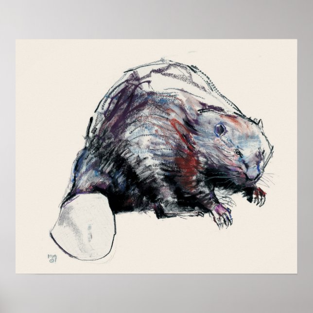 Castor Fiber 2001 Poster (Framsidan)