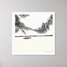 Casuarina Träd Long Island Bahamas