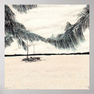 Casuarina Träd, Long Island Bahamas Poster