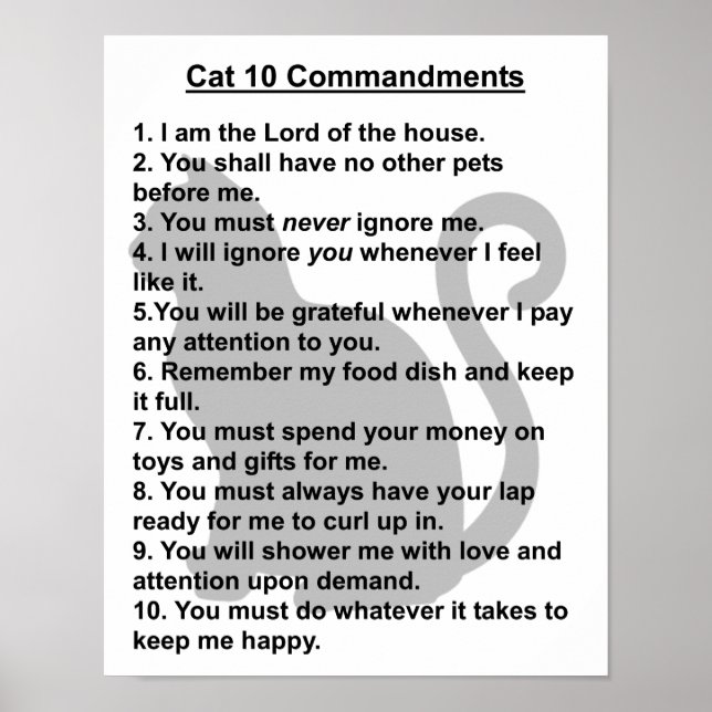 Cat 10-kommandoutskrift poster (Framsidan)