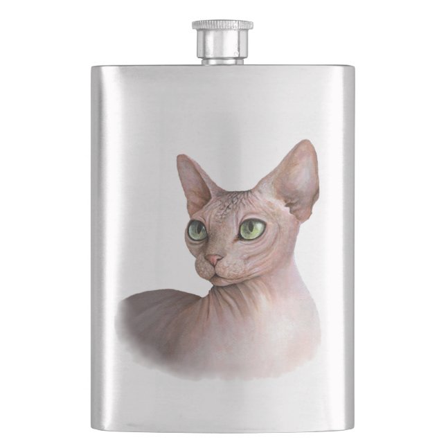 Cat 578 Sphynx white background Fickplunta (Framsidan)