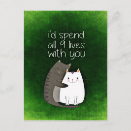 cat-859033.jpg vykort