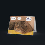 Cat and Fish Funny Dreams Birthday Kort<br><div class="desc">Må all din födelsedag drömma om kom sant! Vare sig det är fisk,  presenter,  roligt eller spelar ingen roll ditt hjärta önskar. Tack för att du tittar och hoppades att du skrattade. Photo ©Christine Greenspan. Licensierad fisk och födelsedagsgrafik.</div>