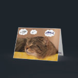 Cat and Fish Funny Dreams Birthday Kort<br><div class="desc">Må all din födelsedag drömma om kom sant! Vare sig det är fisk,  presenter,  roligt eller spelar ingen roll ditt hjärta önskar. Tack för att du tittar och hoppades att du skrattade. Photo ©Christine Greenspan. Licensierad fisk och födelsedagsgrafik.</div>