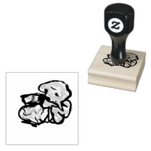 Cat and flowers  fun