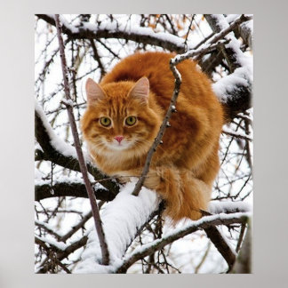 cat_and_snö_ (14) poster