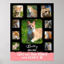 Cat Anpassningsbar Photo Collage Faded Gräns Black