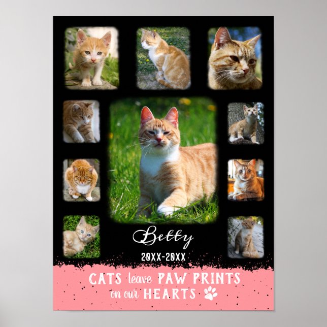 Cat Anpassningsbar Photo Collage Faded Gräns Black Poster (Framsidan)