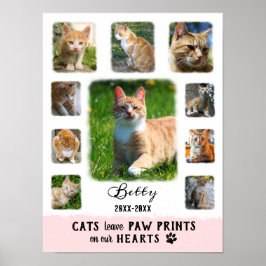 Cat Anpassningsbar Photo Collage Faded Gräns White Poster