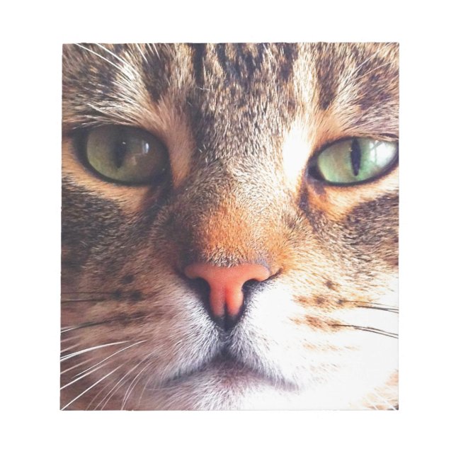 Cat Ansikte Anteckningsblock (Framsida)
