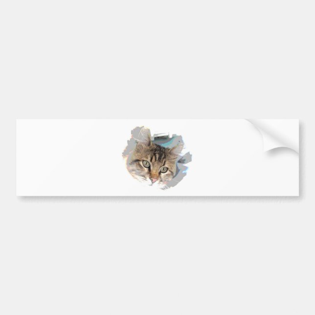 Cat Ansikte - Cat Öga Bildekal (Framsidan)