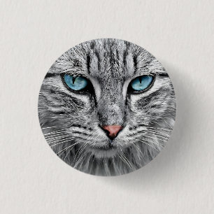 Cat Ansikte Fractal Design-10682 Knapp
