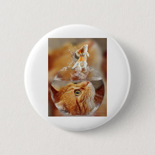 Cat Ansikte Goldfish glass Close View öga Knapp