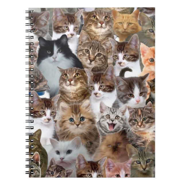 Cat Ansikte Mönster Anteckningsbok (Framsidan)