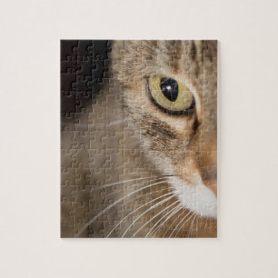 Cat Ansikte Photo Puzzle Pussel
