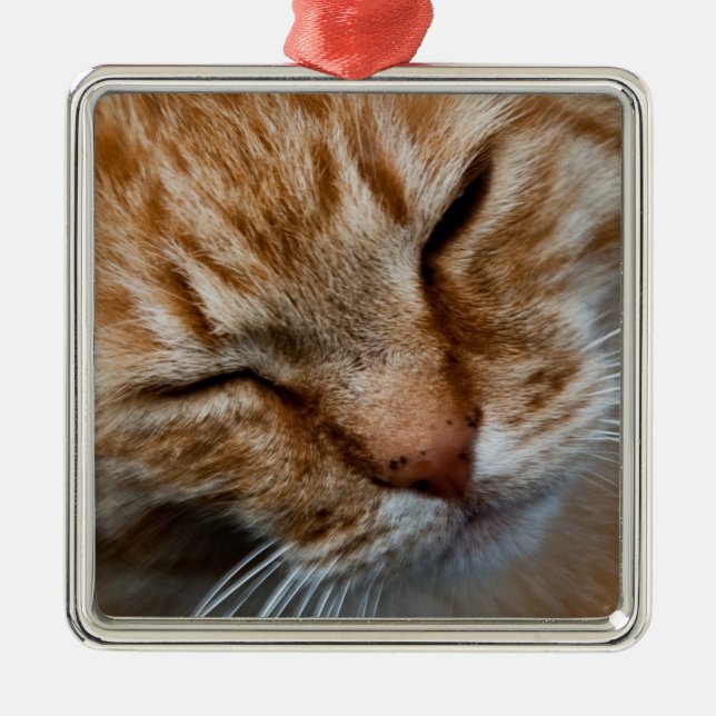 Cat ansikte Premium Square Ornament (Framsidan)