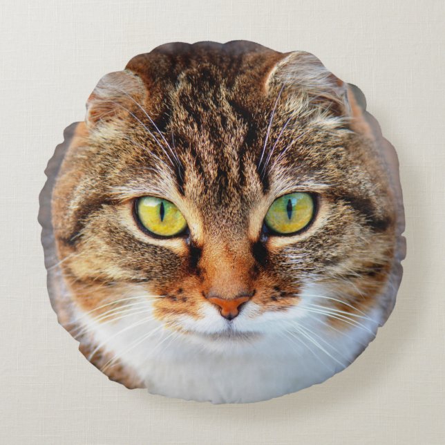 Cat ansikte rund kudde (Framsidan)