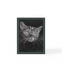 Cat Ansikte Teckning efter Mark Edward Westerfield