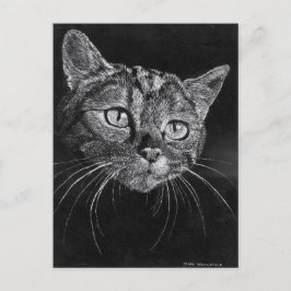 Cat Ansikte Vykort