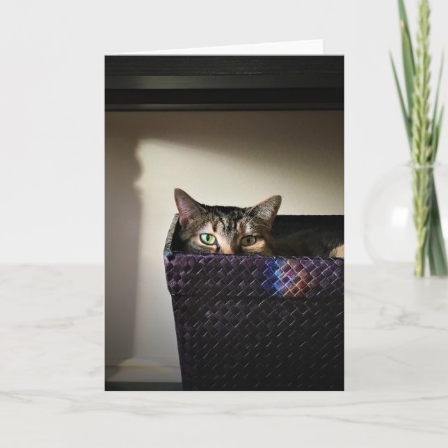 Cat Basket, kort (Framsida)
