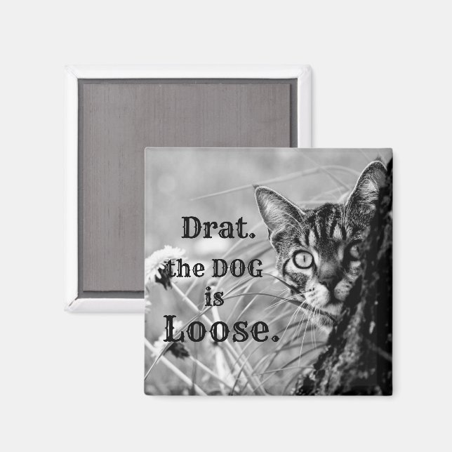 Cat Behind Träd, Drat, Hund är Loose. Magnet (Front/Back)