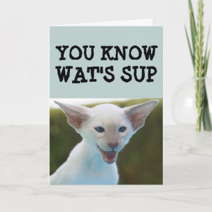 CAT BIRTHDAY FUNNY CARD KORT
