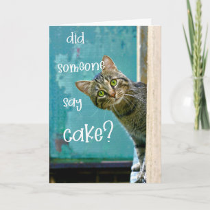 Cat Birthday, Lustigt, sa nån kummel? Kort