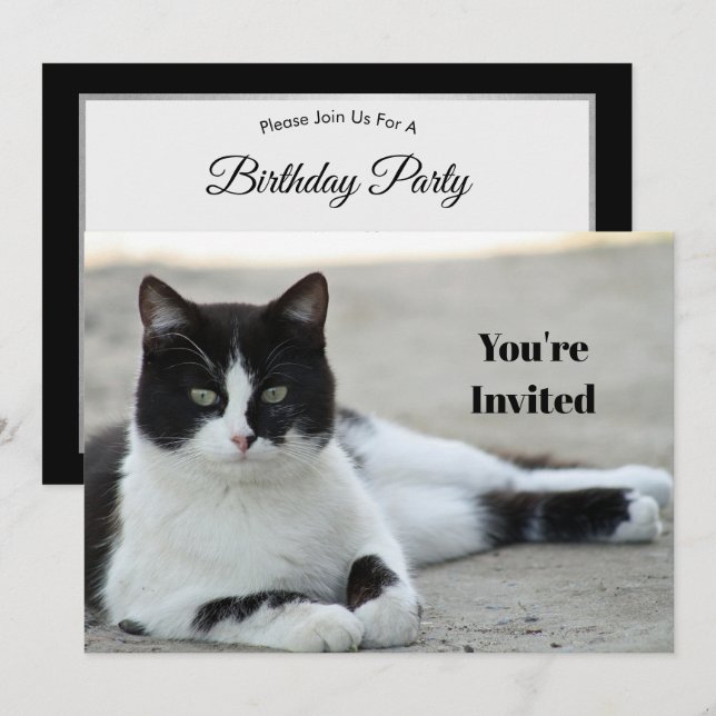 Cat Black and White Tuxedo Photo Birthday Inbjudningar (Fram/baksida)